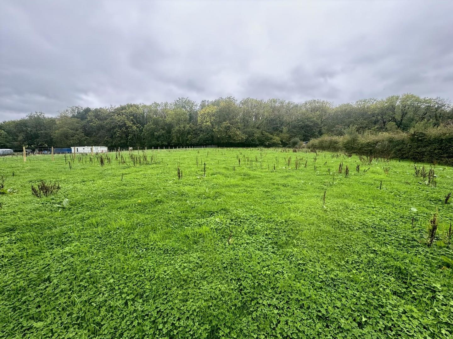 Approx. 0.98 acres of Agricultural Land, Cwrt Yr Ala Road Cardiff Road CF5 5QD